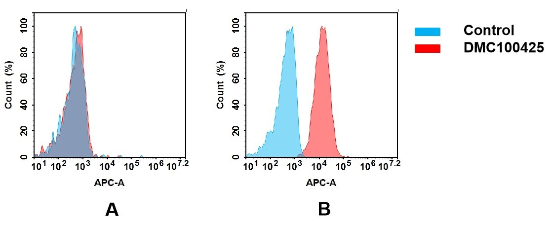CD63 Antibody (DMC425) - Chimeric