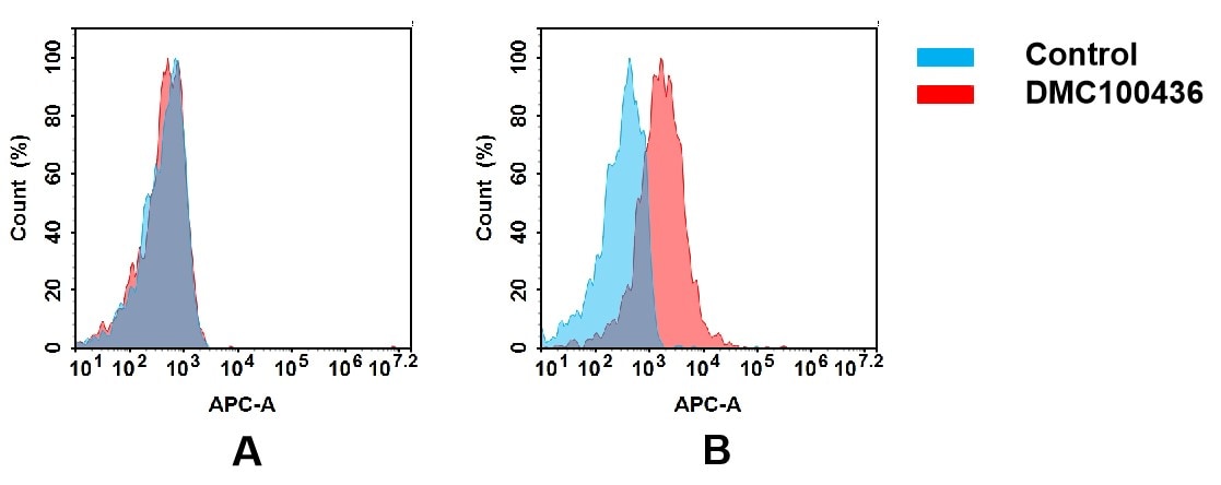CD83 Antibody (DMC436) - Chimeric