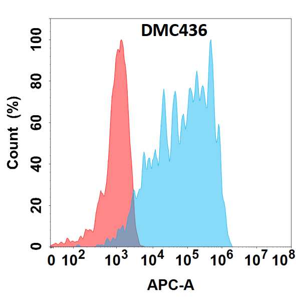 CD83 Antibody (DMC436) - Chimeric