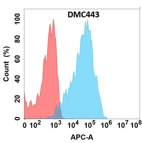 CXCR7/RDC-1 Antibody (DMC443) - Chimeric