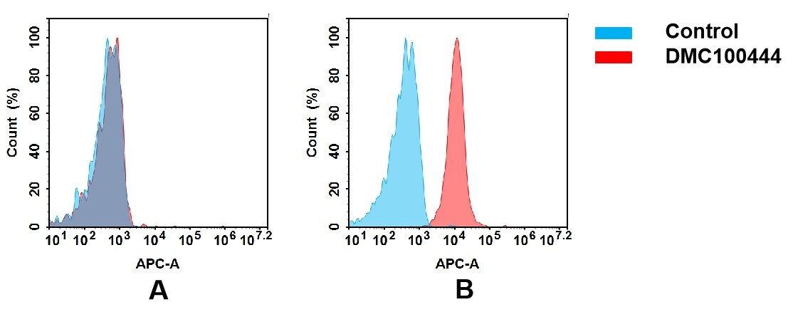 Bone marrow stromal cell antigen 1/CD157 Antibody (DMC444) - Chimeric