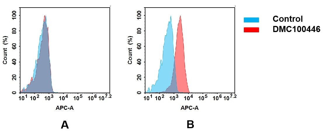 CD117/c-kit Antibody (DMC446) - Chimeric