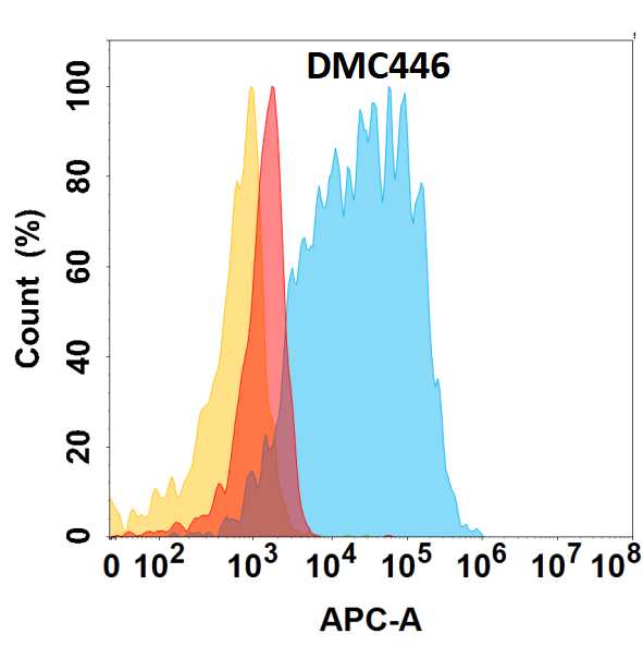 CD117/c-kit Antibody (DMC446) - Chimeric