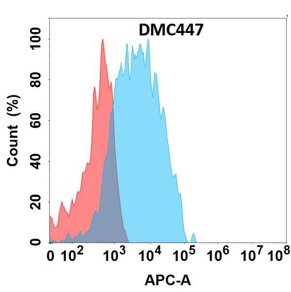 CCR2 Antibody (DMC447) - Chimeric