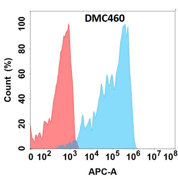 FGFR4 Antibody (DMC460) - Chimeric