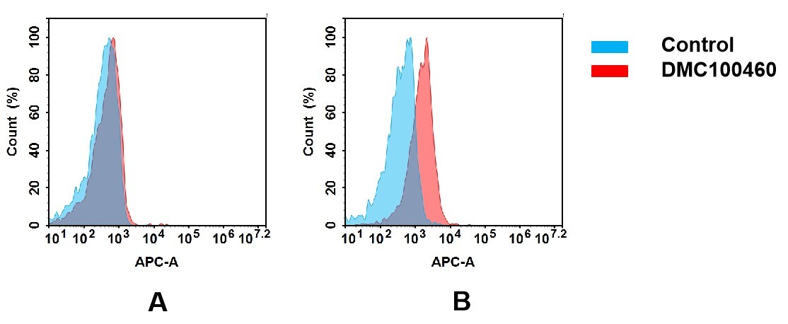 FGFR4 Antibody (DMC460) - Chimeric