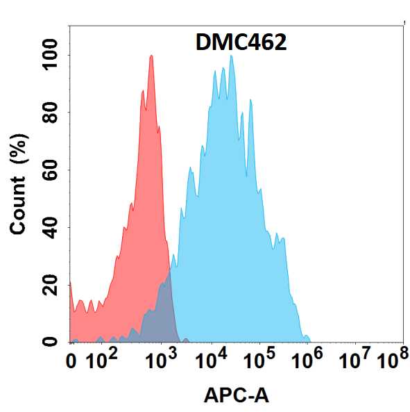 Prolactin R Antibody (DMC462) - Chimeric