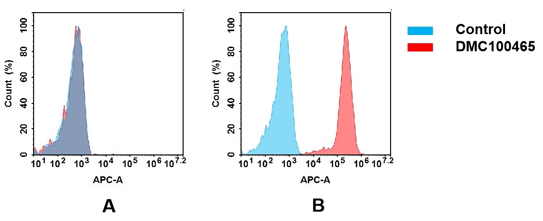 CCR1 Antibody (DMC465) - Chimeric
