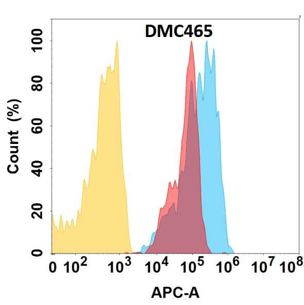 CCR1 Antibody (DMC465) - Chimeric
