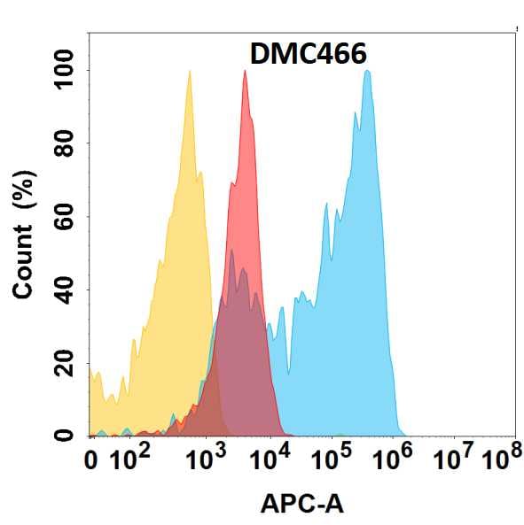NG2/MCSP Antibody (DMC466) - Chimeric