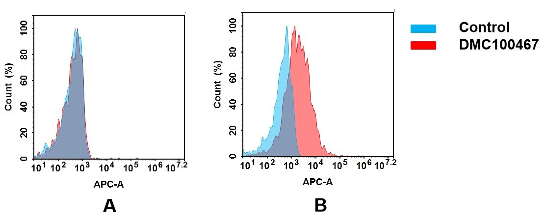 TGF-beta RII Antibody (DMC467) - Chimeric