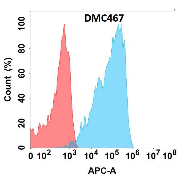 TGF-beta RII Antibody (DMC467) - Chimeric