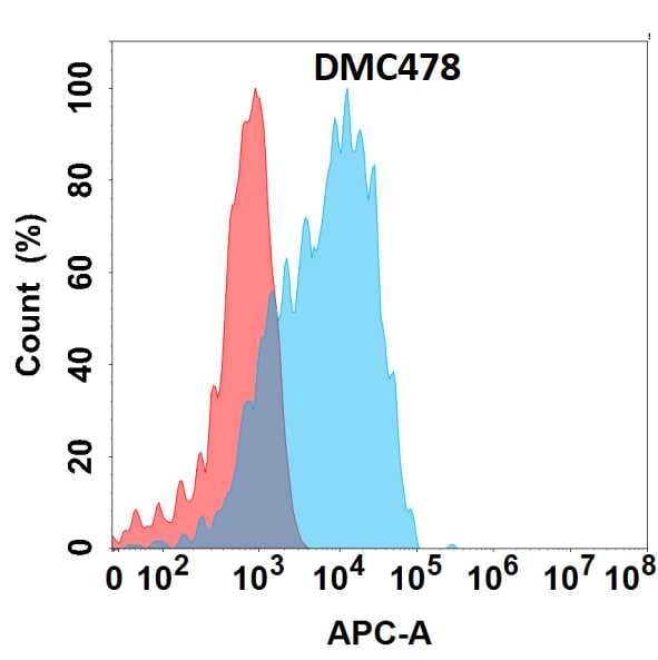 GPR87 Antibody (DMC478) - Chimeric
