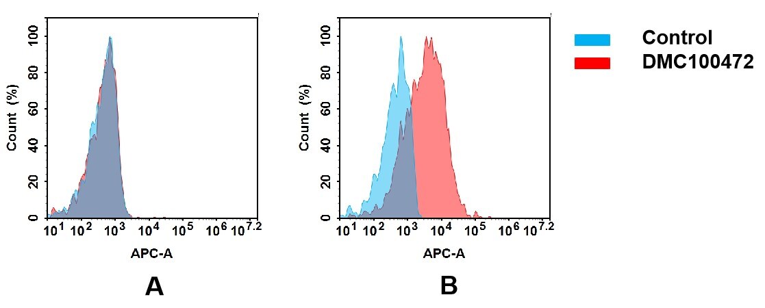 EphA4 Antibody (DMC472) - Chimeric