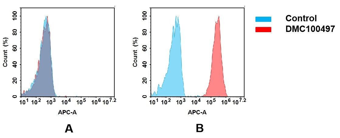 A33/GPA33 Antibody (DMC497) - Chimeric