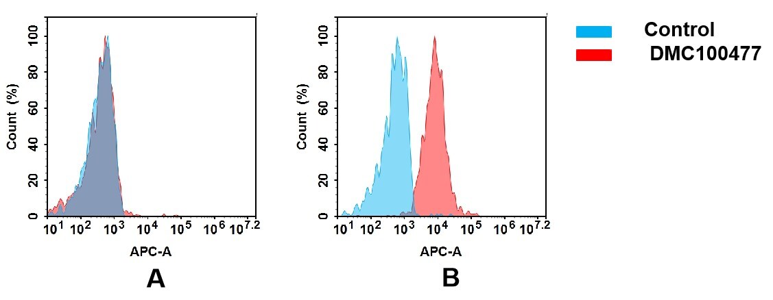 CCR6 Antibody (DMC477) - Chimeric