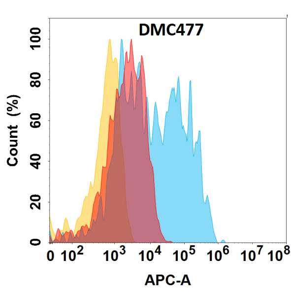 CCR6 Antibody (DMC477) - Chimeric