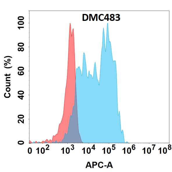 Chitinase 3-like 1/YKL-40 Antibody (DMC483) - Chimeric