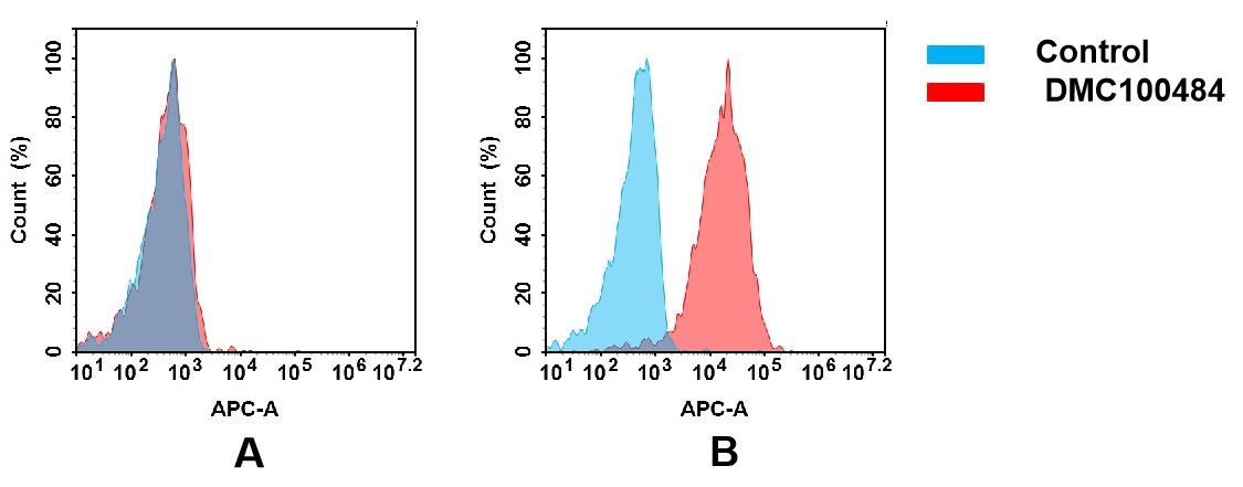 E-Cadherin Antibody (DMC484) - Chimeric