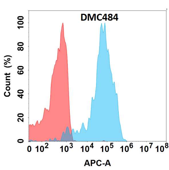 E-Cadherin Antibody (DMC484) - Chimeric