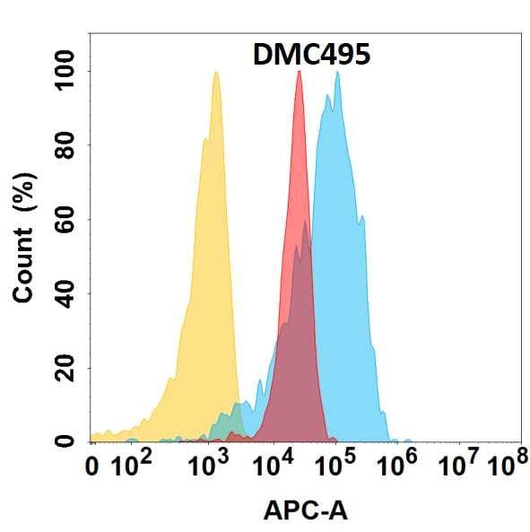 YAP1 Antibody (DMC495) - Chimeric