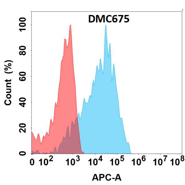 Cadherin-6/KCAD Antibody (DMC6765) - Chimeric