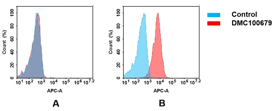 CXCR5 Antibody (DMC679) - Chimeric