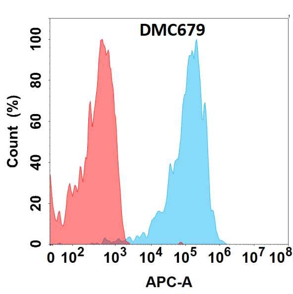 CXCR5 Antibody (DMC679) - Chimeric