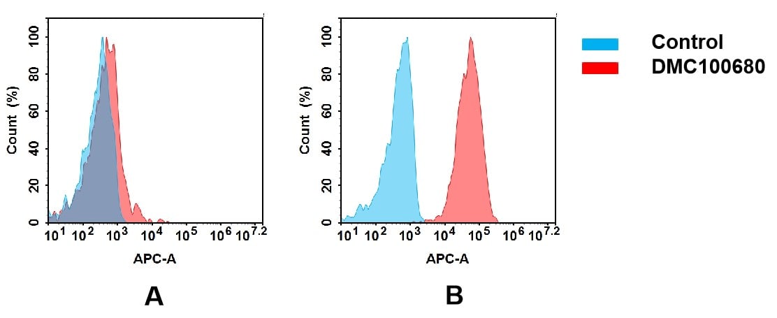 CXCR4 Antibody (DMC680) - Chimeric