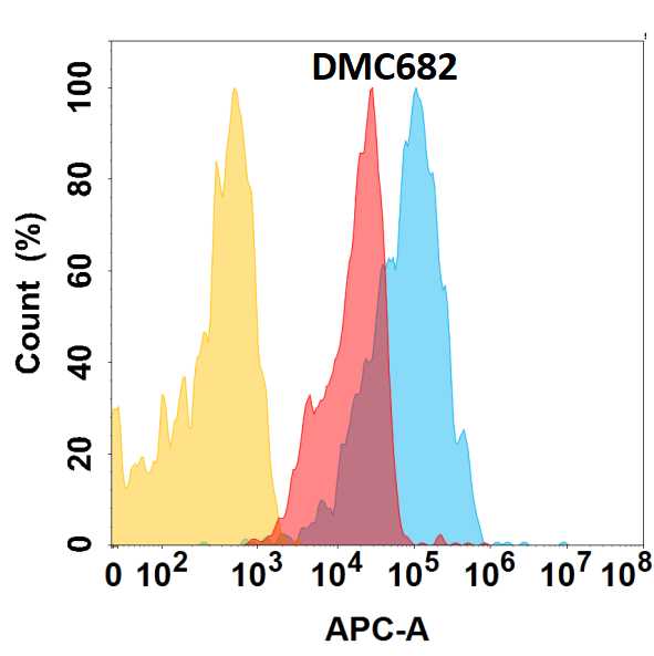 ALCAM/CD166 Antibody (DMC682) - Chimeric