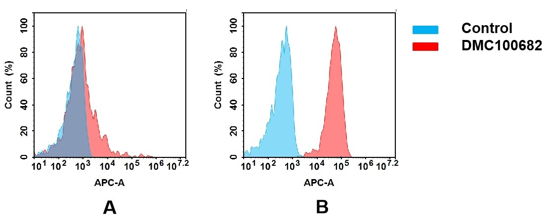 ALCAM/CD166 Antibody (DMC682) - Chimeric