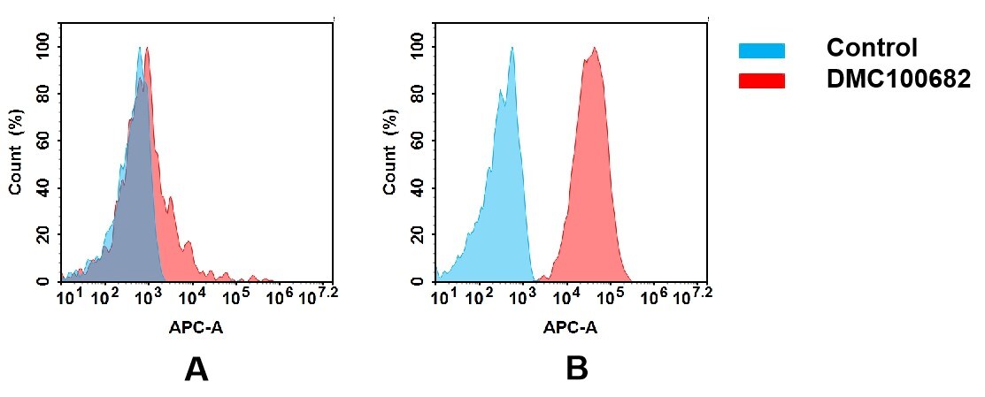 ALCAM/CD166 Antibody (DMC682) - Chimeric