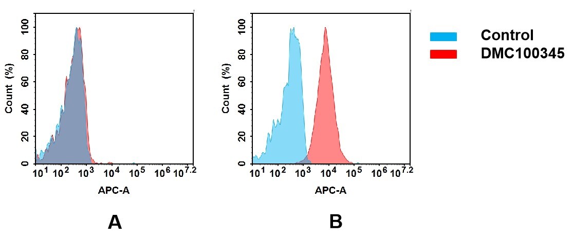 C1qR1/CD93 Antibody (5B10) - Chimeric