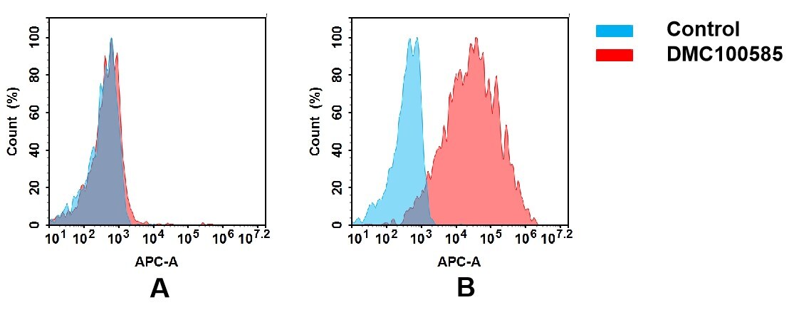 FOLR1 Antibody (18A3) - Chimeric