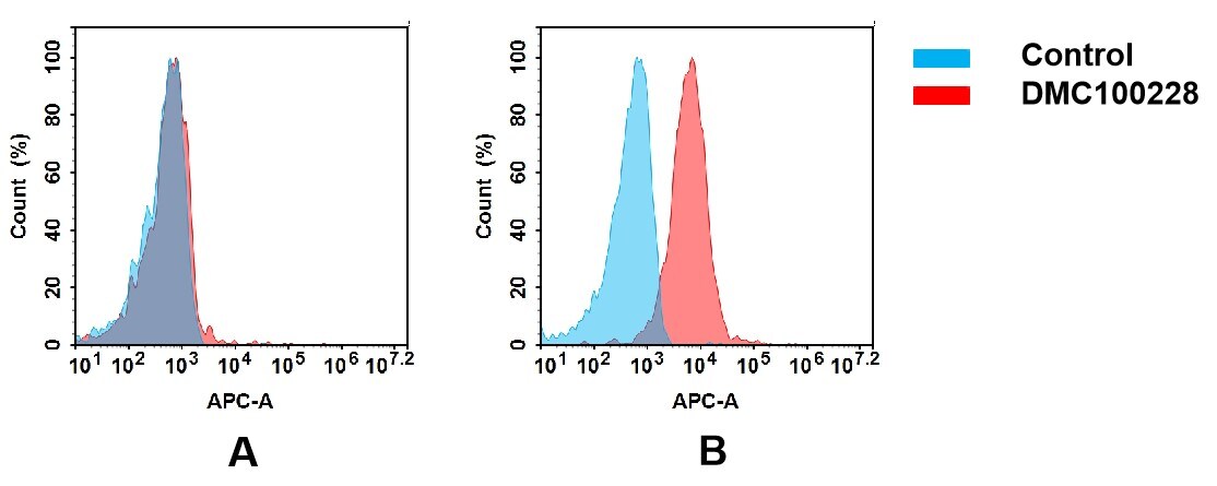 ROR1 Antibody (151A5) - Chimeric