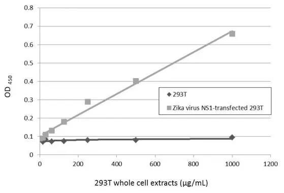 Zika Virus NS1 Antibody