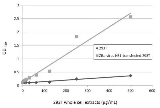 Zika Virus NS1 Antibody