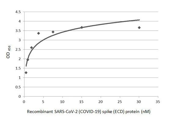 SARS Spike Protein Antibody (1A9)