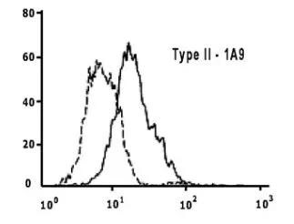 SARS Spike Protein Antibody (1A9)
