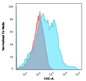 NF-H Antibody (rNF421)