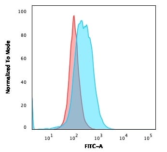 B7-2/CD86 Antibody (rC86/1146)