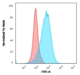 B7-2/CD86 Antibody (C86/2160R)