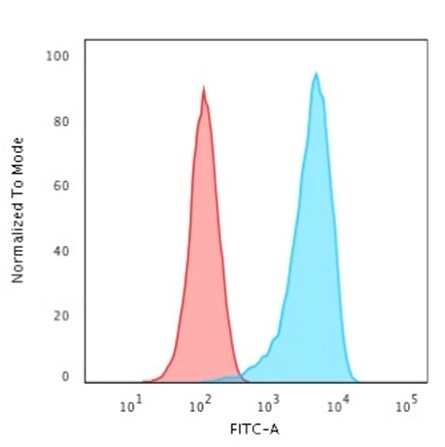 CD43/Sialophorin Antibody (rSPN/1094)