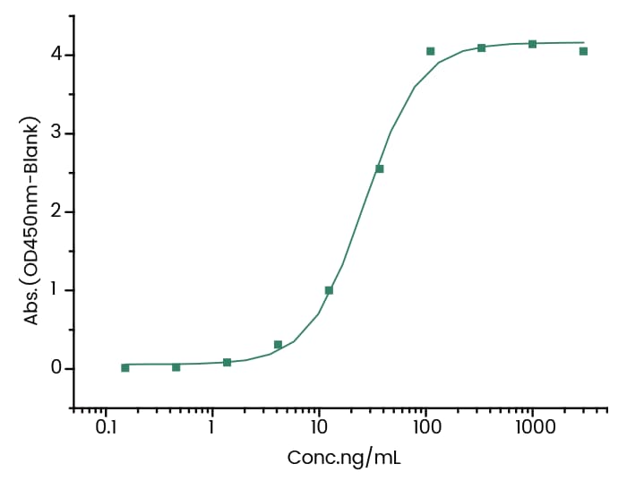 Mertansine/DM1 Antibody (7) - Azide and BSA Free Mertansine/DM1 Antibody (7) - Azide and BSA Free