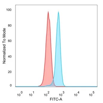 GCM2 Antibody (PCRP-GCM2-1B3) - Azide and BSA Free