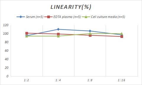 Rat S100B ELISA Kit (Chemiluminescence)