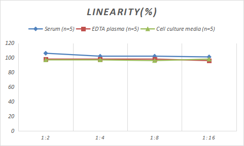 Rabbit FoxP3 ELISA Kit (Colorimetric)