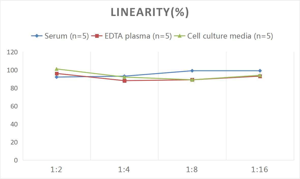 Mouse DNASE1 ELISA Kit (Colorimetric)