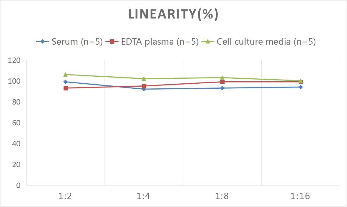 Mouse Deoxypyridinoline ELISA Kit (Colorimetric)