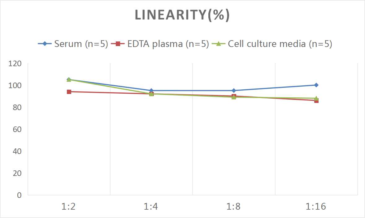 Mouse Fibromodulin/FMOD ELISA Kit (Colorimetric)